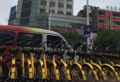 小黄车被拖走什么意思