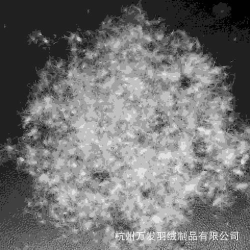 广检90白鸭绒和国标90白鸭绒区别