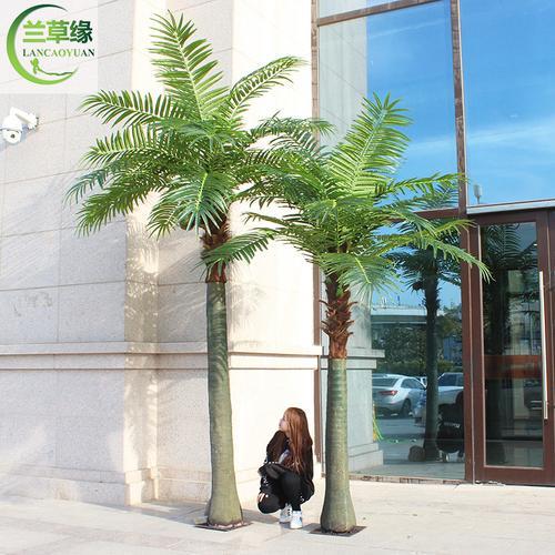 椰子树的树干能做家具吗