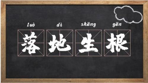 生根的读音是什么