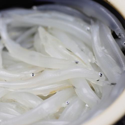 面鱼是直接冷冻还是煮熟后冷冻