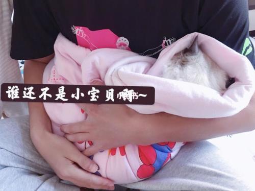 谁还不是个宝贝呢是什么意思