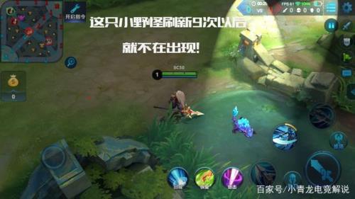王者野区保护机制什么意思