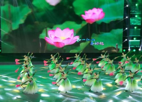 花儿舞起来是谁唱的