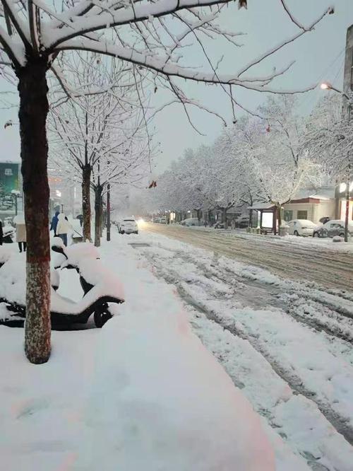 北京这场雪算大雪吗