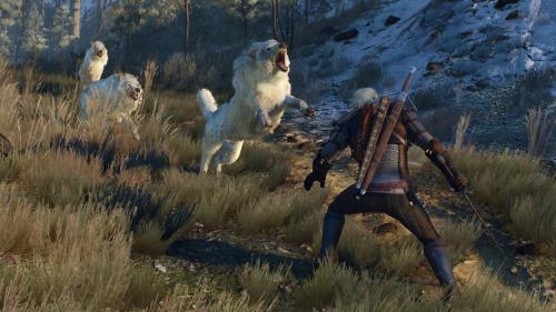 ps4模拟巫师2存档是什么意思