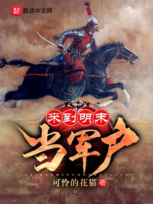 主角叫王羽的穿越明末的小说