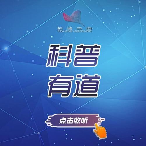 有道公考靠谱吗
