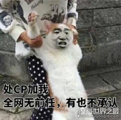别人问你cpdd该怎么回复