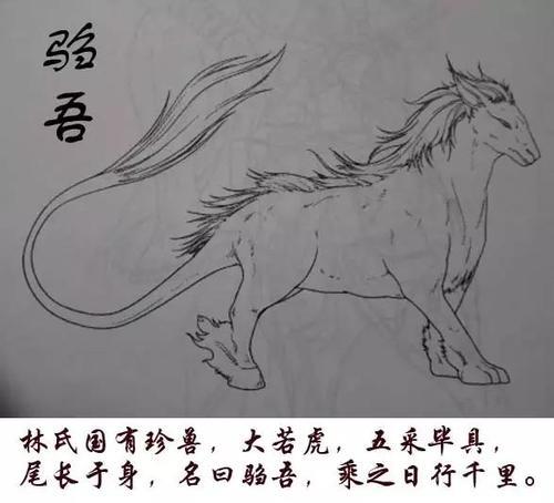 山海经服主是怎么成为服主的
