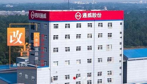 通威分红方案