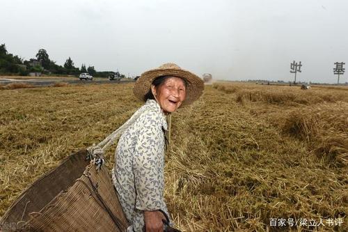 拣麦穗阅读理解答案
