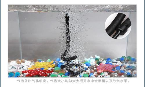 鱼缸气泡盘和气泡石哪种更好用