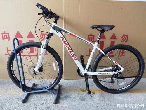 公爵300和公爵600对比