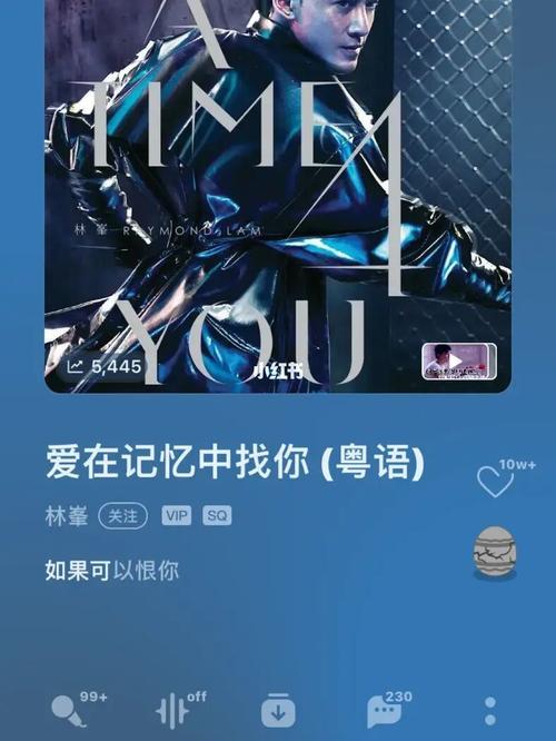 我在广东漂泊十年粤语歌原唱