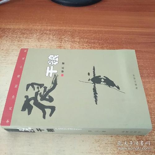 主角是李兵的小说