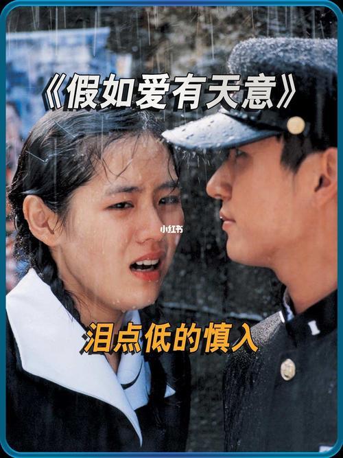 夫妻俩的爱情片