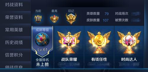 王者的熟练度标志有哪些