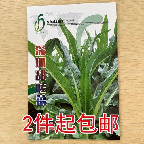 8月深圳适合种什么菜