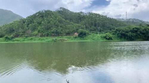 阳江沙湾水库可以钓鱼吗