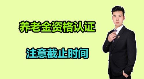 2023养老认证什么时间开始