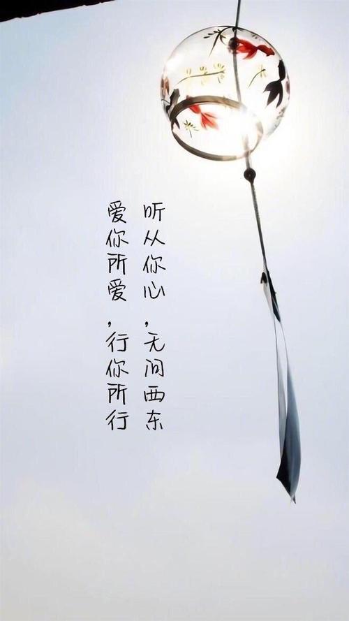 你行你素的意思