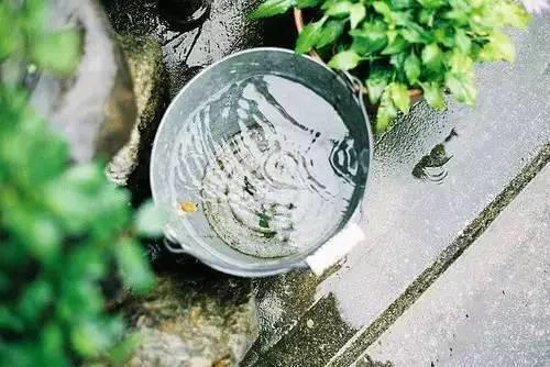 尼克杨故事很短却很新鲜