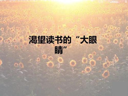 渴望原著