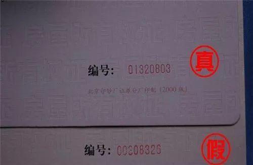 查封文号的具体内容怎么查