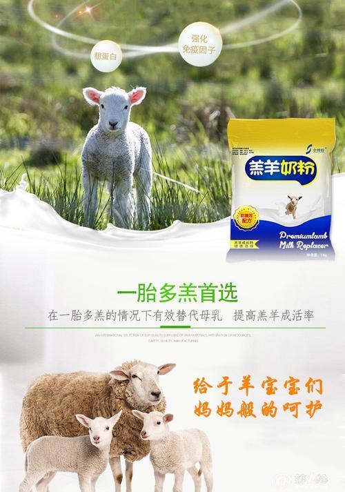 羊羔出生几天后可以喂奶粉