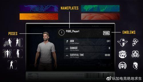 pubg官网如何进入