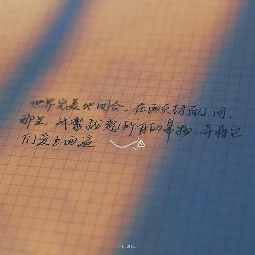 极可以组什么句子