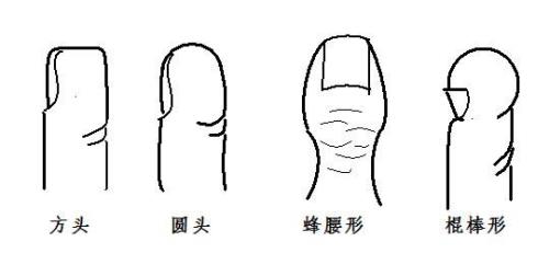 木棍上的指纹多久消失