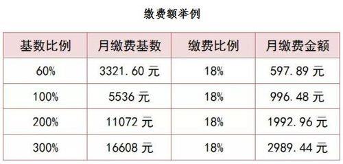 商洛灵活就业缴费标准