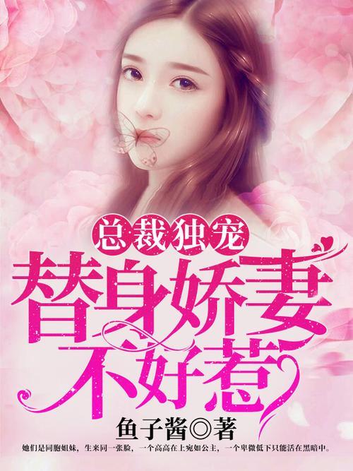 女主叫安然的总裁小说
