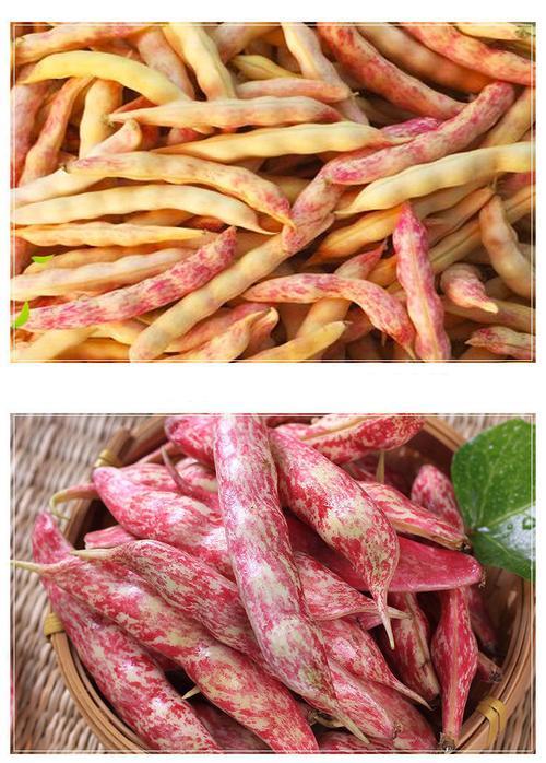 冻黄金豆角的做法