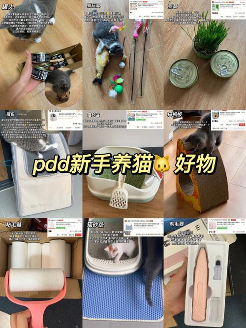 拼多多猫一般预售多久发货