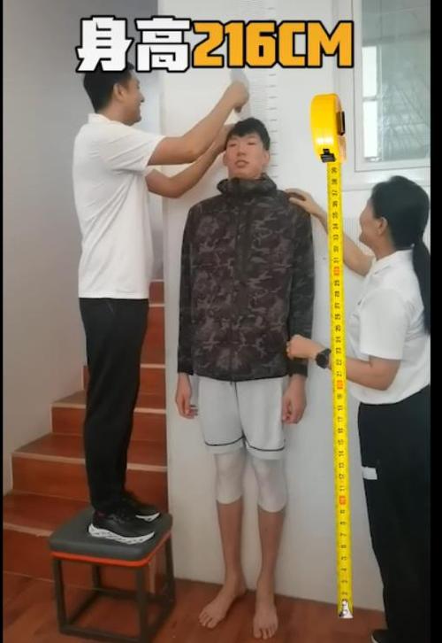 原地起跳摸高标准对照表