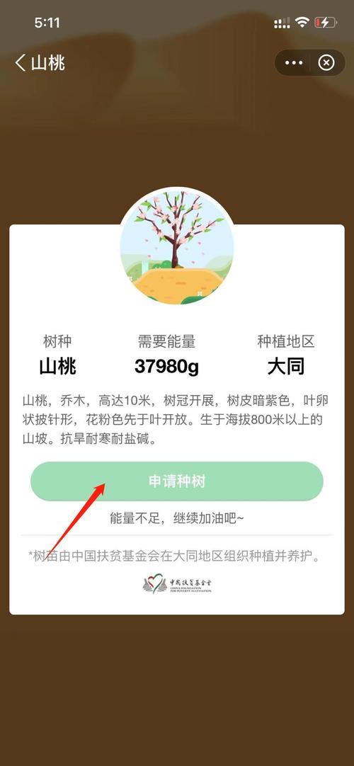支付宝种树一共多少级