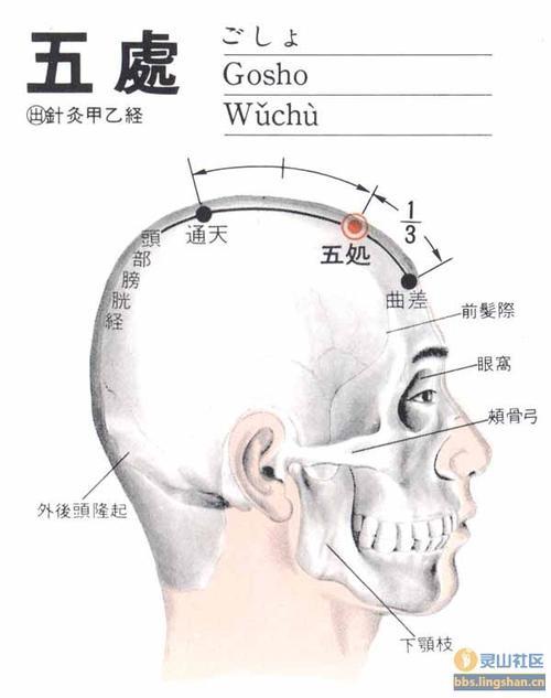 额中穴的准确位置
