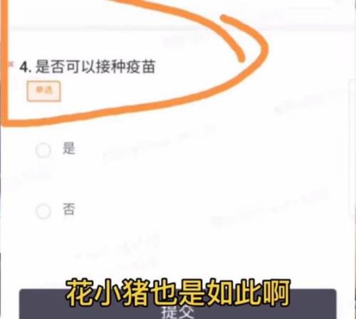 花小猪怎么提交双证