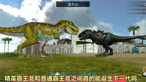 手游精英霸王龙的刷新点