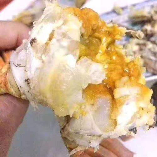 公螃蟹壳里有蛆一样的东西