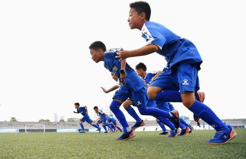 野蛮体魄什么意思
