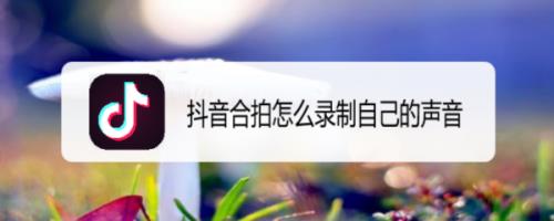 拍抖音要怎样才能把整首歌唱完
