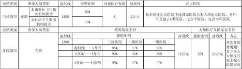 儿童城乡居民医疗保险报销范围