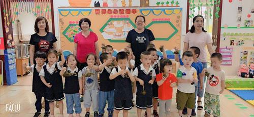智慧摇篮紫金幼儿园怎么样