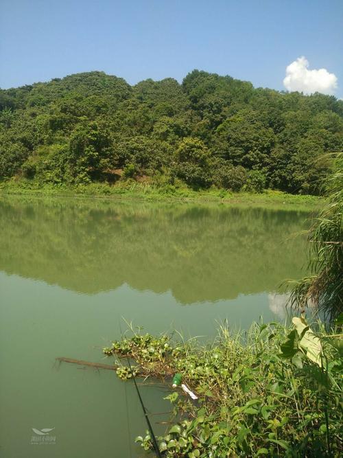 南山月亮湖能不能钓鱼