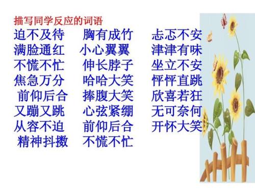 不慌不忙地什么填词语