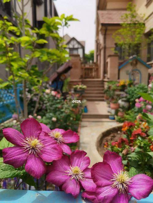 里昂村庄适合广东吗